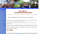 Desktop Screenshot of aguide2southcarolina.com
